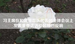 习主席在和武警部队代表团全体会议上发表重要讲话引起热烈反响