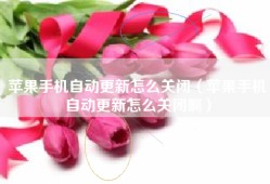 苹果手机自动更新怎么关闭（苹果手机自动更新怎么关闭啊）