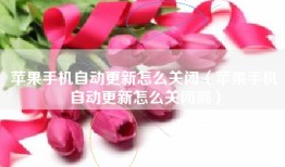 苹果手机自动更新怎么关闭（苹果手机自动更新怎么关闭啊）