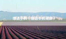 维语手机（维语手机键盘）