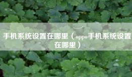 手机系统设置在哪里（oppo手机系统设置在哪里）