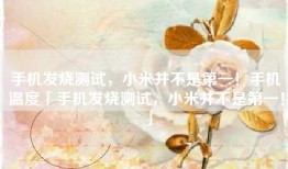 手机发烧测试，小米并不是第一！手机温度「手机发烧测试，小米并不是第一！」