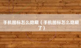 手机图标怎么隐藏（手机图标怎么隐藏了）