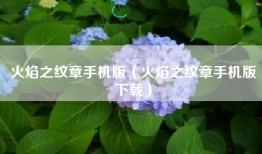 火焰之纹章手机版（火焰之纹章手机版下载）