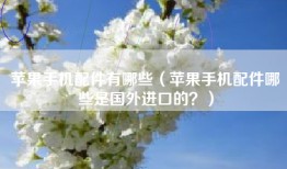 苹果手机配件有哪些（苹果手机配件哪些是国外进口的？）