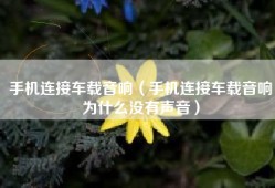 手机连接车载音响（手机连接车载音响为什么没有声音）
