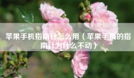 苹果手机指南针怎么用（苹果手机的指南针为什么不动）