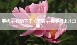 手机app安装不了（下载app到手机上并安装）