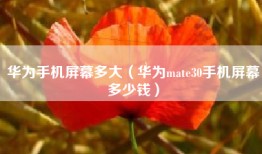 华为手机屏幕多大（华为mate30手机屏幕多少钱）