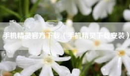 手机精灵官方下载（手机精灵下载安装）