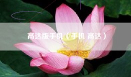 高达版手机（手机 高达）