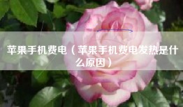 苹果手机费电（苹果手机费电发热是什么原因）