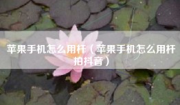 苹果手机怎么用杆（苹果手机怎么用杆拍抖音）