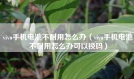 vivo手机电池不耐用怎么办（vivo手机电池不耐用怎么办可以换吗）