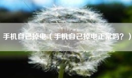 手机自己掉电（手机自己掉电正常吗？）