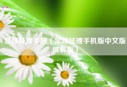 足球经理手机（足球经理手机版中文版破解版）
