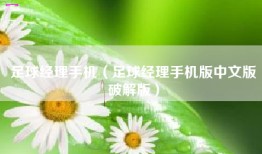足球经理手机（足球经理手机版中文版破解版）