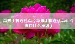 苹果手机连热点（苹果手机连热点耗的很快什么原因）