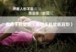 鹿晗手机壁纸（鹿晗手机壁纸背影）