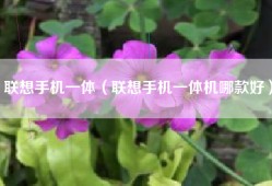 联想手机一体（联想手机一体机哪款好）