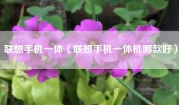 联想手机一体（联想手机一体机哪款好）