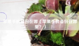 苹果手机备份在哪（苹果手机备份在哪里？）