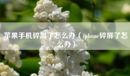 苹果手机碎屏了怎么办（iphone碎屏了怎么办）