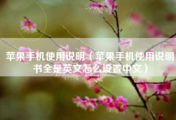 苹果手机使用说明（苹果手机使用说明书全是英文怎么设置中文）