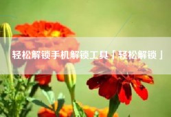 轻松解锁手机解锁工具「轻松解锁」