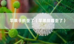 苹果手机歪了（苹果屏幕歪了）