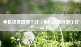 手机稳定器哪个好（手机稳定器哪个好一点）