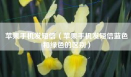 苹果手机发短信（苹果手机发短信蓝色和绿色的区别）