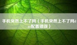 手机突然上不了网（手机突然上不了网dns配置错误）