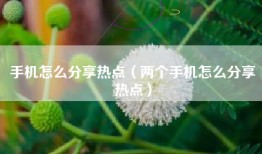手机怎么分享热点（两个手机怎么分享热点）