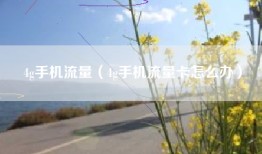 4g手机流量（4g手机流量卡怎么办）
