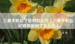 三星手机忘了密码怎么办（三星手机忘记锁屏密码了怎么办）