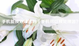 手机能换处理器吗（手机可以换处理器？）