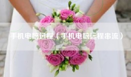手机电脑远程（手机电脑远程串流）
