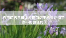 应用商店手机（应用商店手机号注销了收不到验证码）