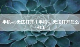 手机wifi无法打开（手机wifi无法打开怎么办）