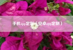 手机app定制（安卓app定制）