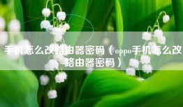 手机怎么改路由器密码（oppo手机怎么改路由器密码）