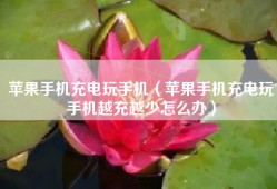 苹果手机充电玩手机（苹果手机充电玩手机越充越少怎么办）