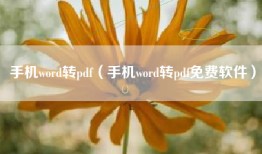 手机word转pdf（手机word转pdf免费软件）