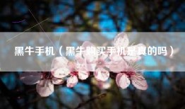 黑牛手机（黑牛购买手机是真的吗）