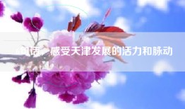 6句话，感受天津发展的活力和脉动