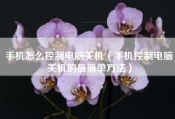 手机怎么控制电脑关机（手机控制电脑关机的最简单方法）