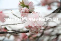 知名手机品牌（知名手机品牌刘总）