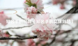 知名手机品牌（知名手机品牌刘总）