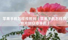 苹果手机怎样传照片（苹果手机怎样传照片到安卓手机）